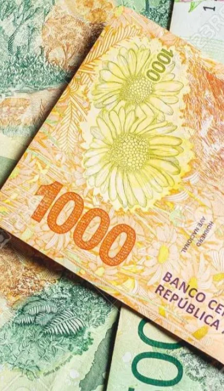 pesos-png.