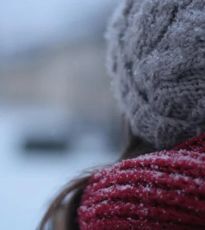 pexels-demeter-attila-28640-jpg.