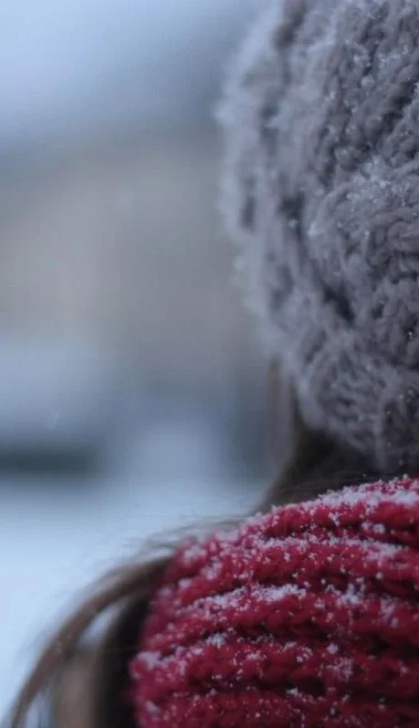 pexels-demeter-attila-28640-jpg.