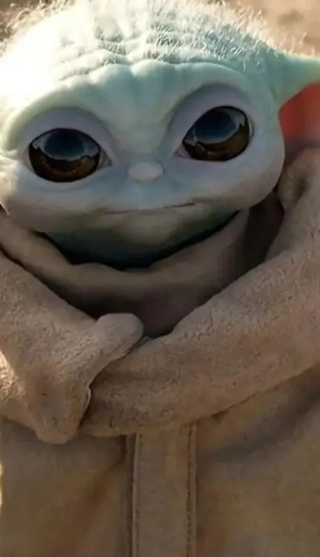 the-child-yoda-mandalorian-jpg.