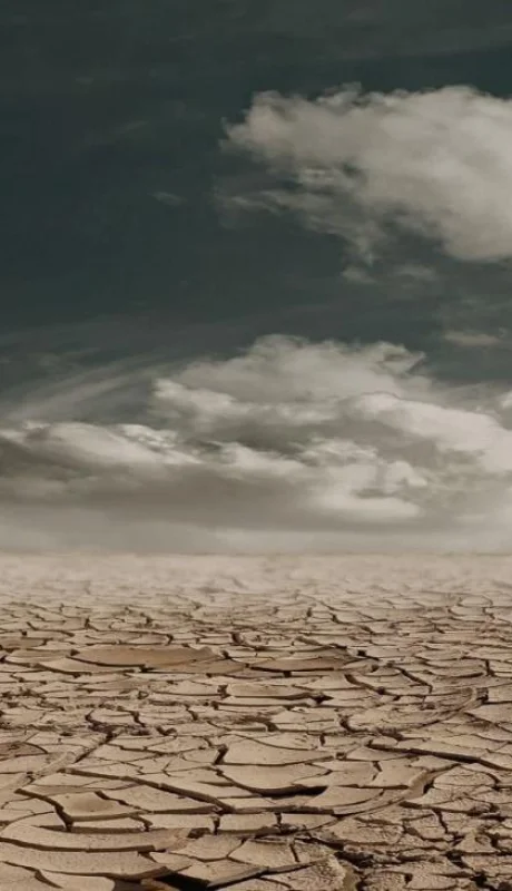 pexels-pixabay-60013-jpg.