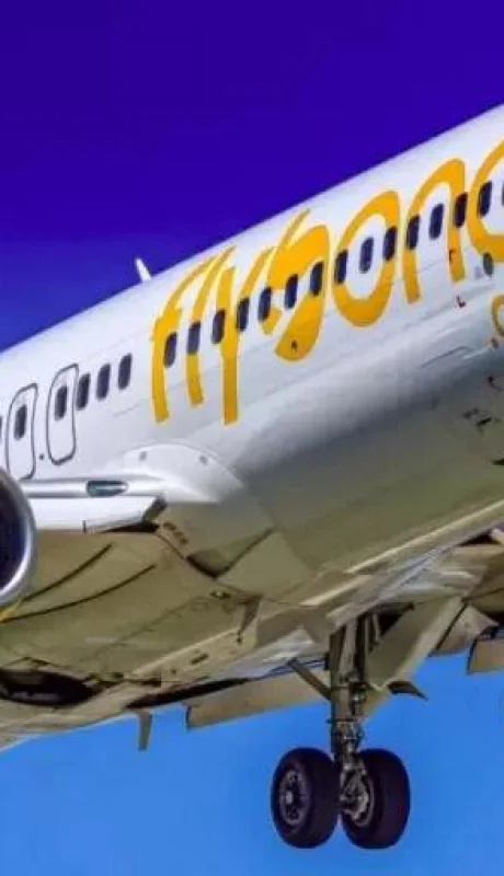 61b74f2c4ddaa-950x512-jpg.