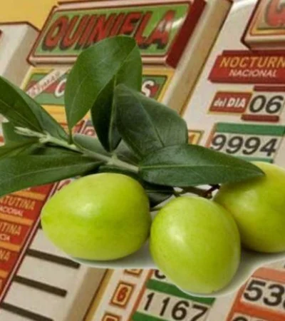 aceitunas-suerte-quiniela-numeros-suenos-png.