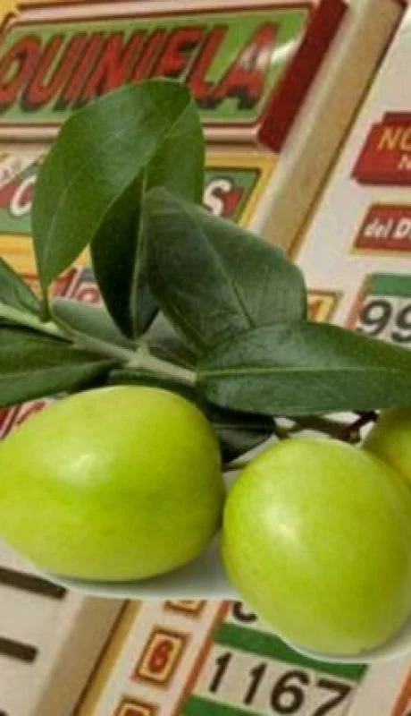 aceitunas-suerte-quiniela-numeros-suenos-png.