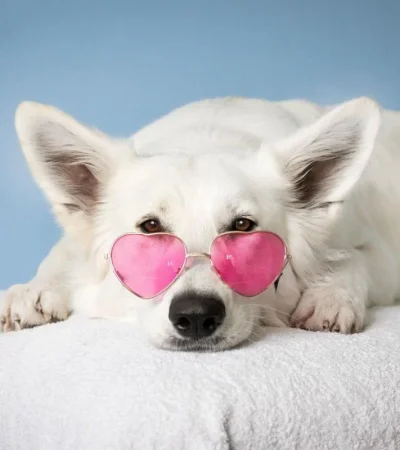 pexels-simona-kidri--2607544-jpg.