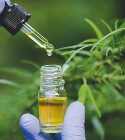 whatsapp-image-2023-05-10-at-09-54-19-jpeg.