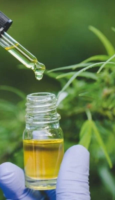 whatsapp-image-2023-05-10-at-09-54-19-jpeg.