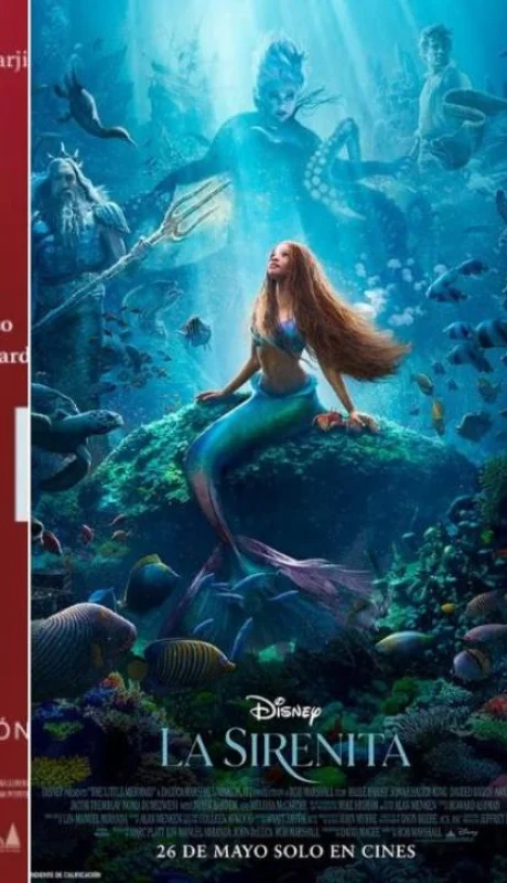 diseno-sin-titulo---2023-05-25t141350-569-png.