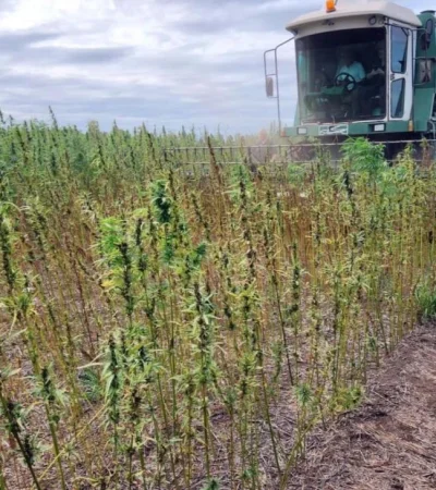 1680978307230408509-jpg.