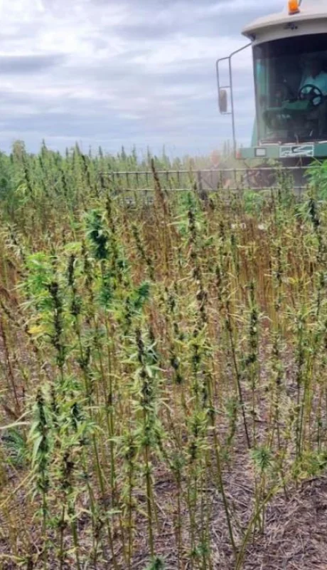 1680978307230408509-jpg.