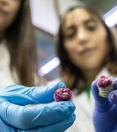 desarrollo-de-enjuague-bucal-jpg.