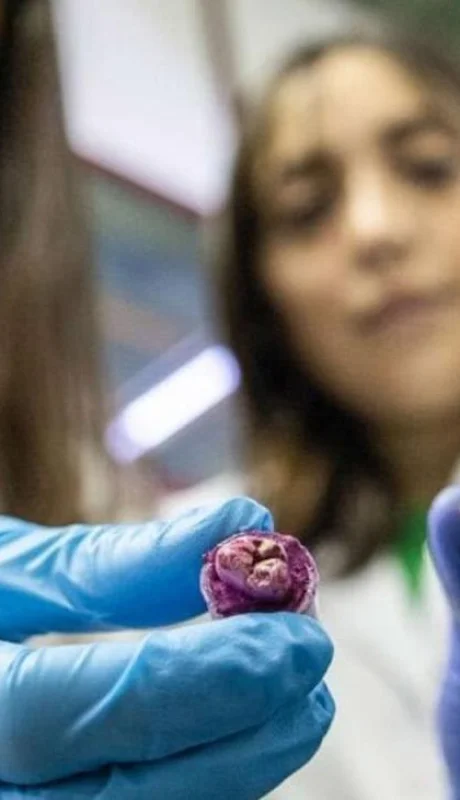 desarrollo-de-enjuague-bucal-jpg.