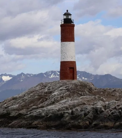 pexels-stefania-saturni-7989047-jpg.