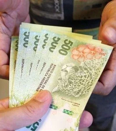 aumento-anses-junio-2023-jpg.