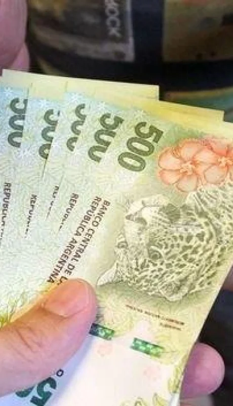 aumento-anses-junio-2023-jpg.