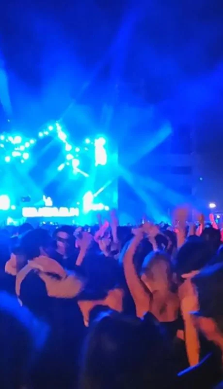 fiesta-electronica-1920-1-jpg.