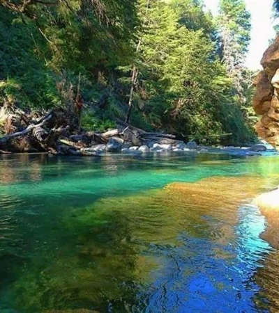 el-bolson-portada-jpg.