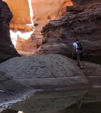 canadon-el-cocodrilo-jpg.