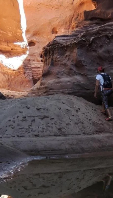 canadon-el-cocodrilo-jpg.