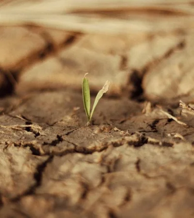 pexels-zaid-ahmed-11840887-jpg.