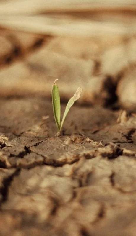 pexels-zaid-ahmed-11840887-jpg.