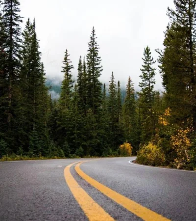 pexels-ashley-209652-jpg.