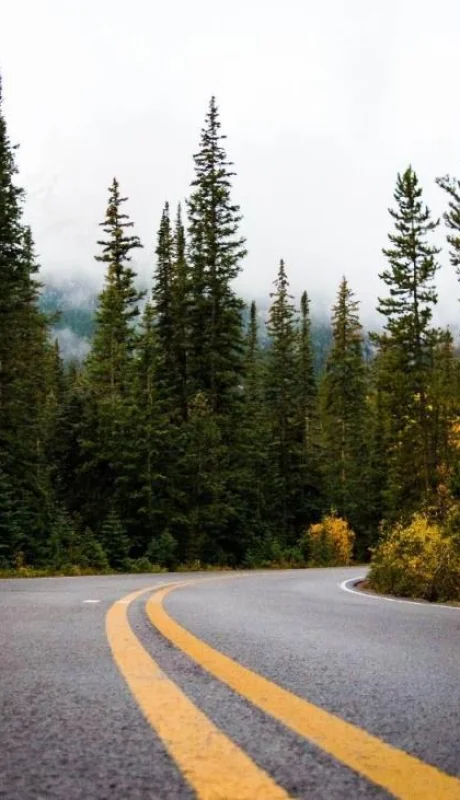 pexels-ashley-209652-jpg.