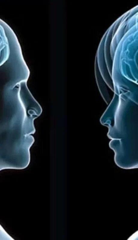 cerebro-masculino-y-femenino-jpg.