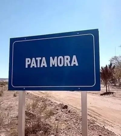 pata-mora-malargue-webp.