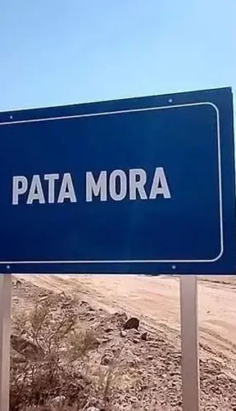 pata-mora-malargue-webp.
