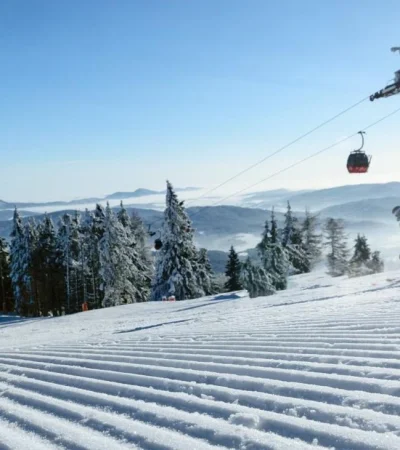 pexels-photomix-company-880497-jpg.