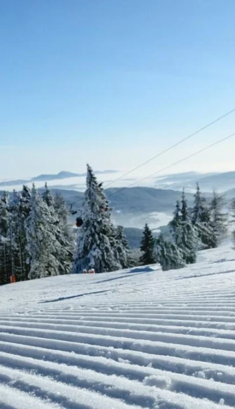 pexels-photomix-company-880497-jpg.