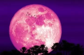 El cielo será un espectáculo: super luna más eclipse parcial