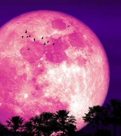 superluna-de-fresa-shutterstock-0-0-1200-747-jpg.