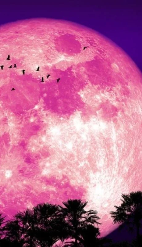 superluna-de-fresa-shutterstock-0-0-1200-747-jpg.