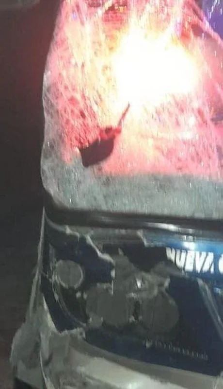 whatsapp-image-2023-06-28-at-08-22-24-jpeg.