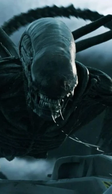 202361322351652-2-jpg.