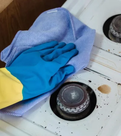 pexels-liliana-drew-9462302-jpg.