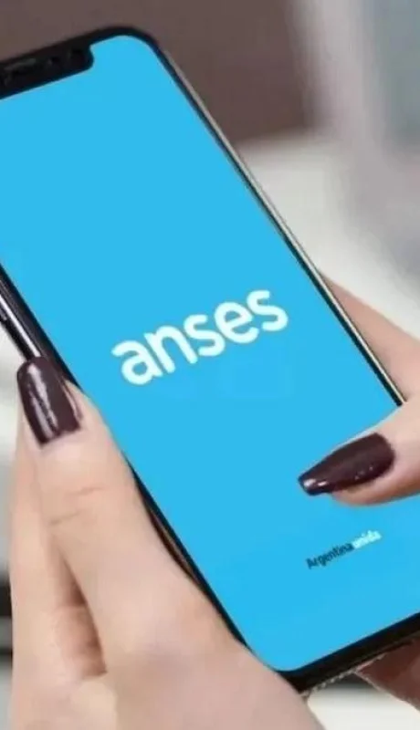 liquidacion-mi-anses-jpg.