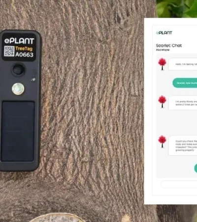 aplicacion-integra-chatgpt-puedas-hablar-arboles-3060344-jpg.