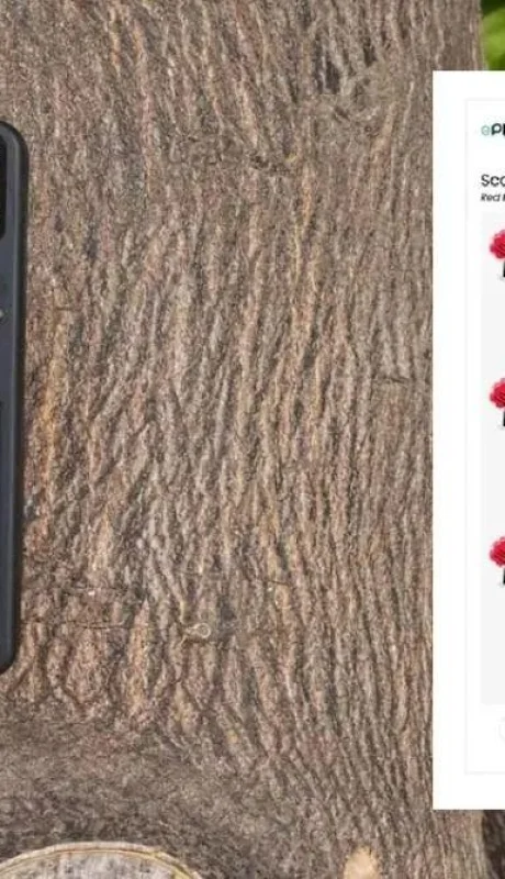 aplicacion-integra-chatgpt-puedas-hablar-arboles-3060344-jpg.