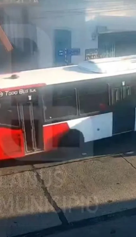 colectivo-lanus-png.