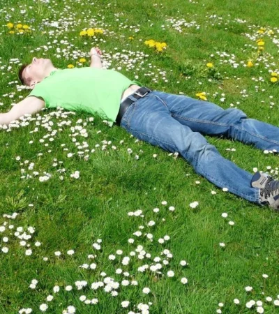 pexels-pixabay-258330-jpg.