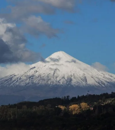 1461457845687311230-jpg.