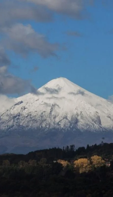 1461457845687311230-jpg.