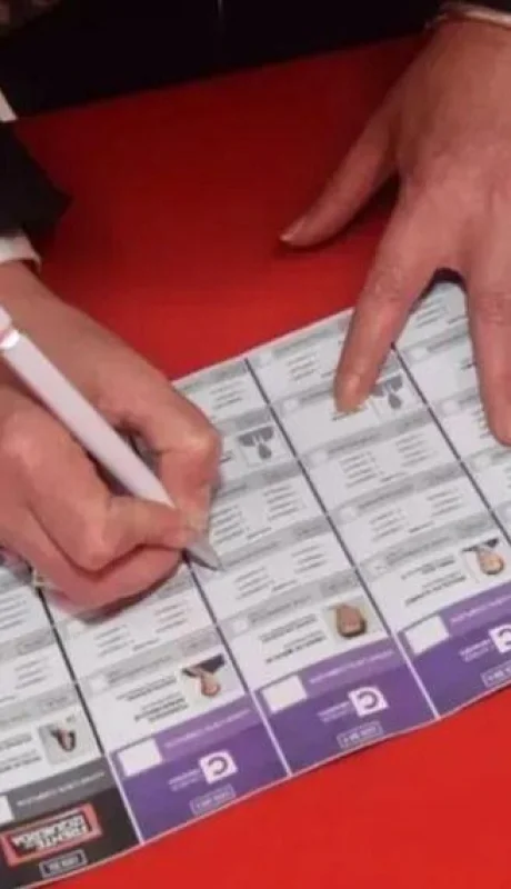 boleta-unica-papel-png.