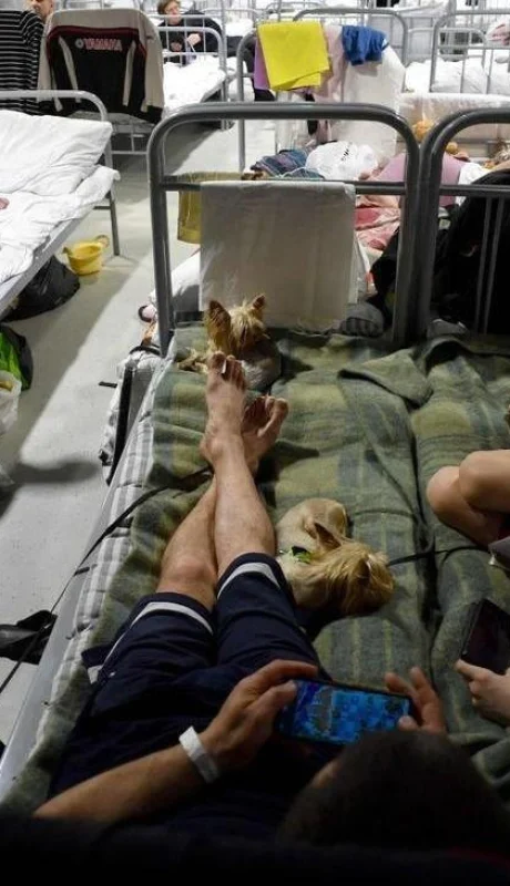 menores-evacuados-de-belgorod-jpg.