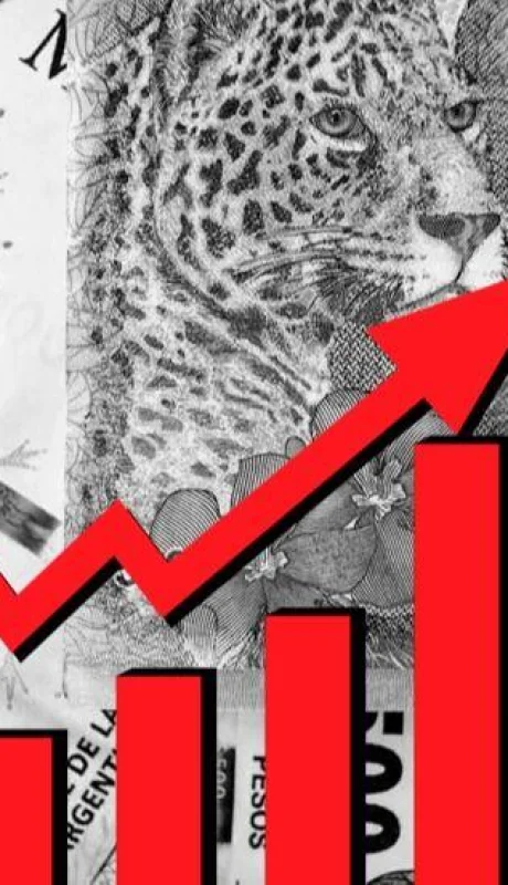 hiperinflacion-argentina-ahorro-pesos-hoy-png.