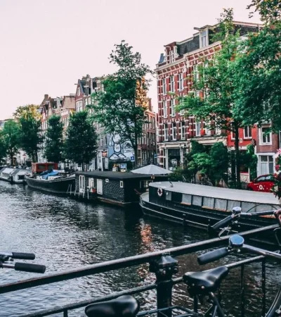 pexels-liam-gant-1414467-jpg.