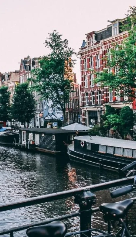 pexels-liam-gant-1414467-jpg.